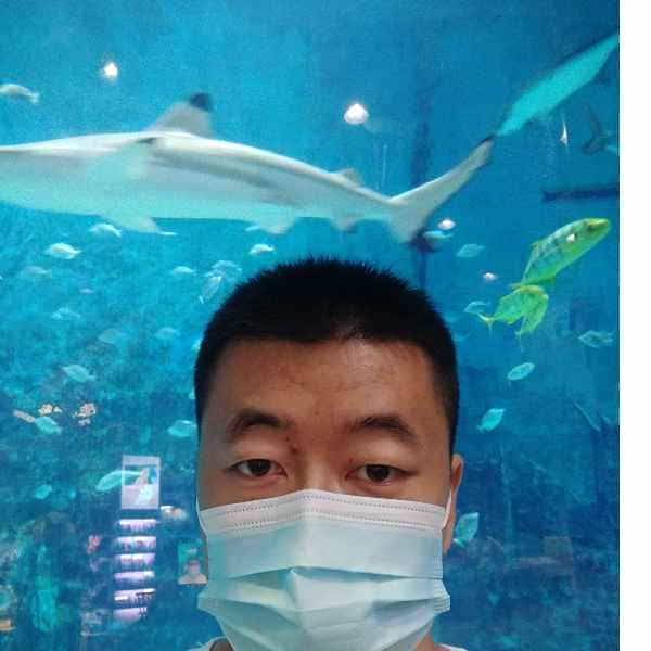 河北34岁单身帅哥真诚找对象-离异征婚相亲网